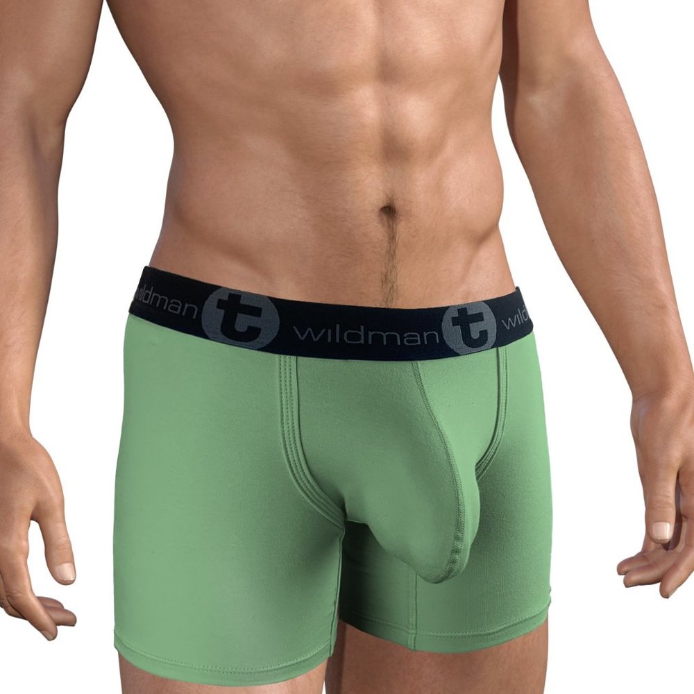 WildmanT Big Boy Pouch 5" Inseam Boxer Brief - Green